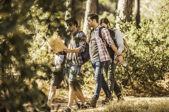 focused_180533734-stock-photo-four-male-hikers-reading-map.jpg